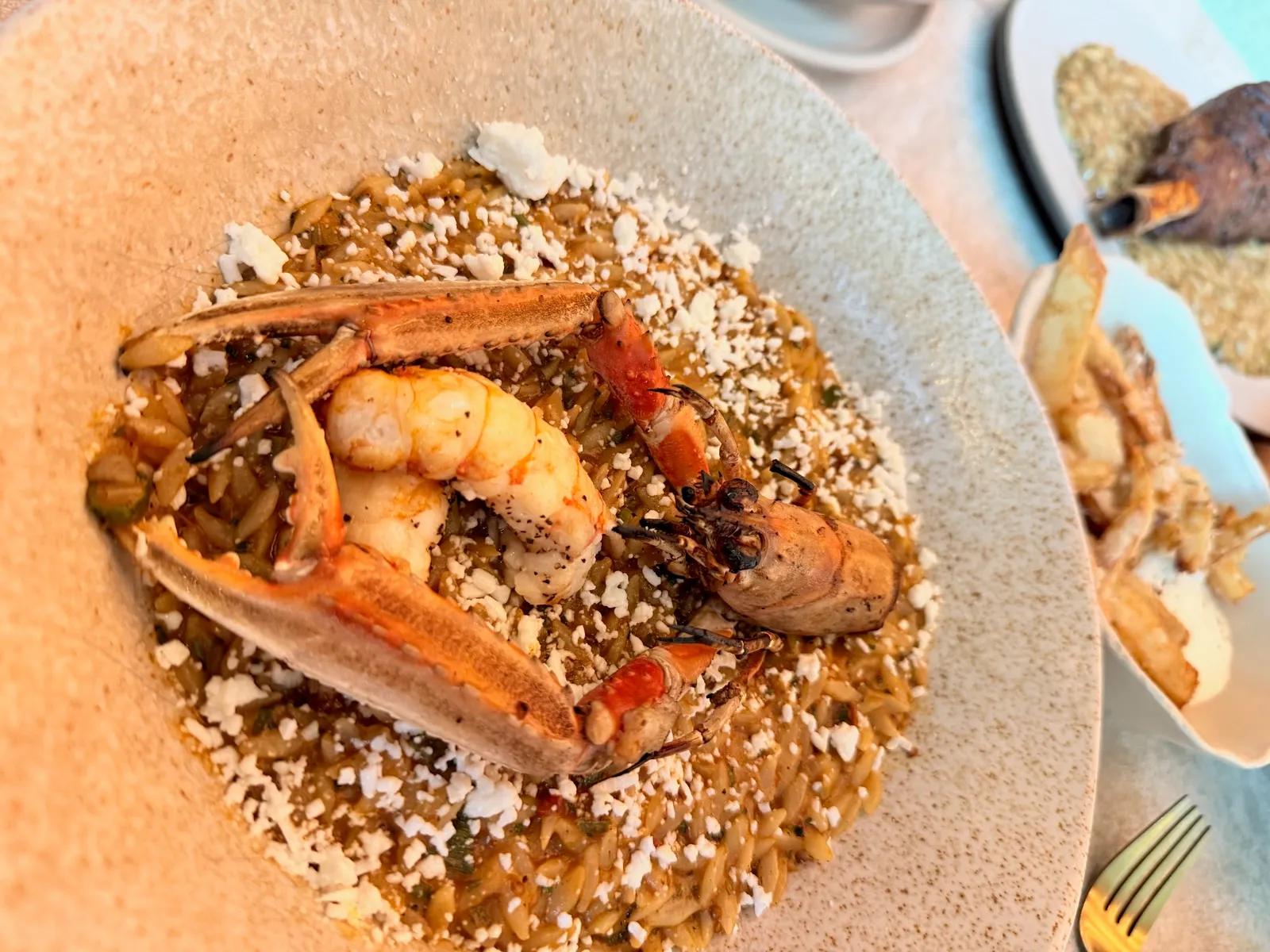 Orzo with langoustine and feta at Fenix Manchester, a shallow bowl of orzo scattered with crumbled feta, topped with langoustine claws and a single piece of tail meat.